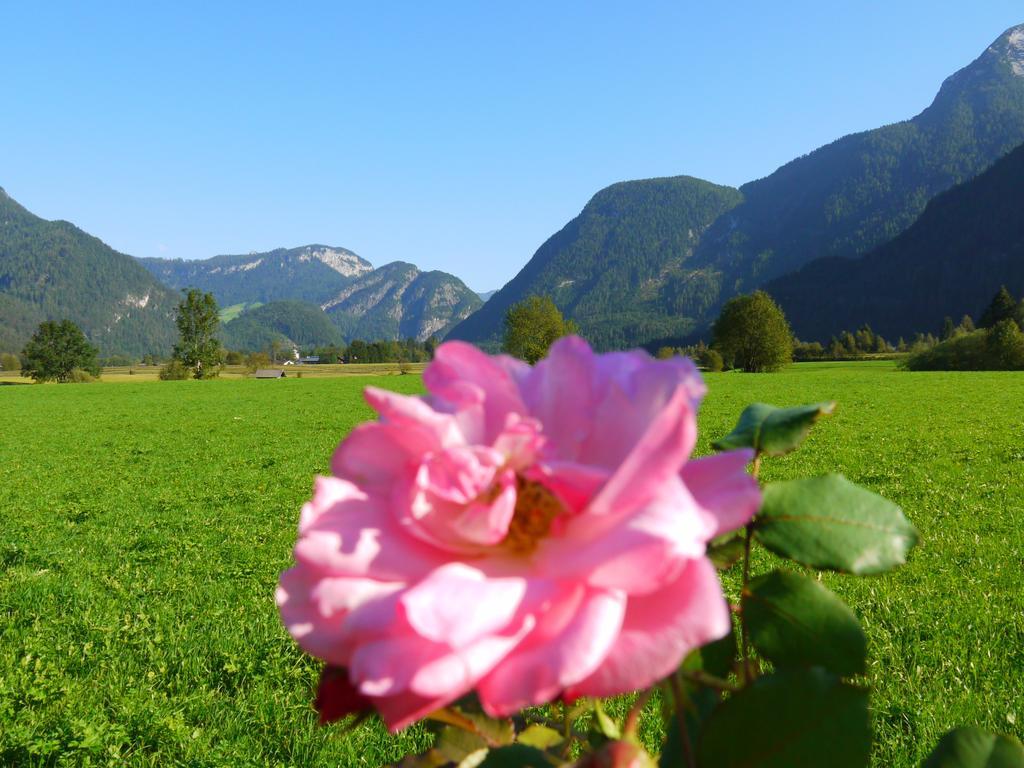 Haus Hohenwarter Hotel Lofer Szoba fotó